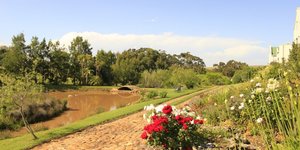 The perfect getaway for 2 at Peace Valley Guest House in Napier